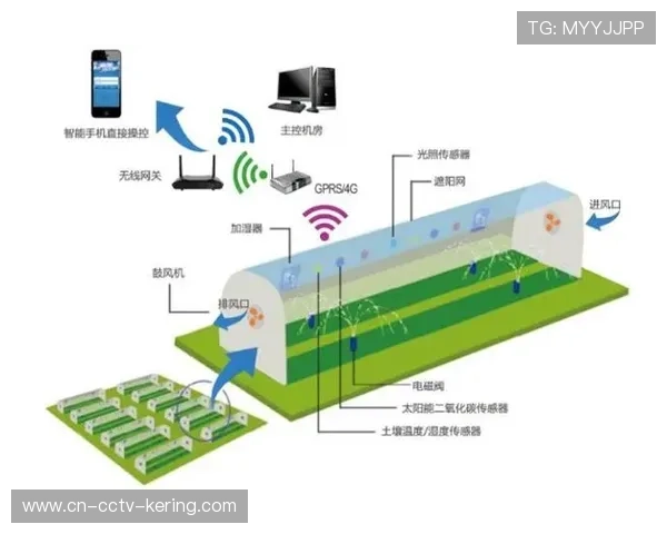 物联网技术精细监控场馆能耗，助力碳足迹追踪